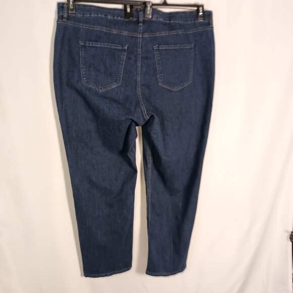 Terra & Sky Plus Jeans 24W Tummy Control Mid Rise Straight Leg Stretch NWT - Picture 3 of 9